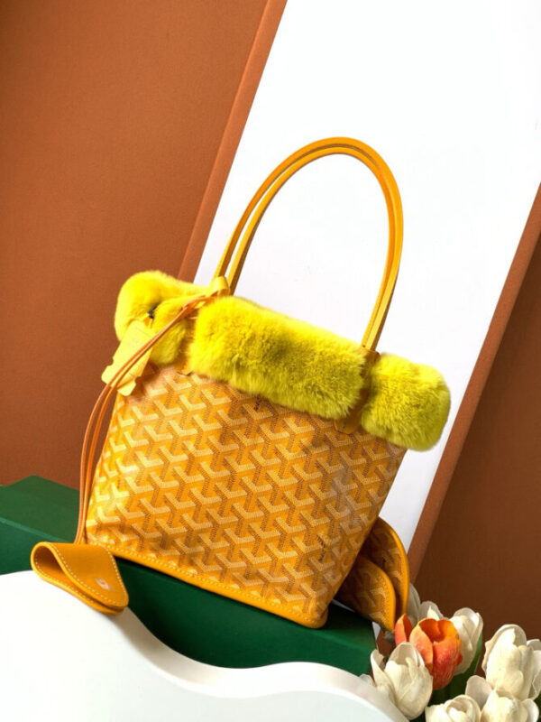 GOYARD Bag